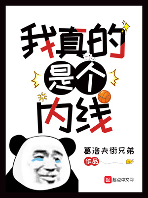 nba之我真的是个内线