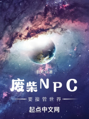 废柴npc要接管世界笔趣阁