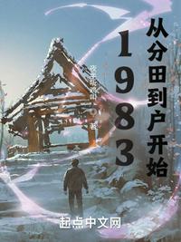 小说1983:从分田到户开始