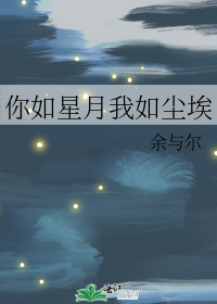 你如星月我如尘埃