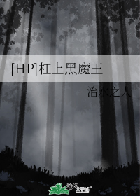 [HP]杠上黑魔王