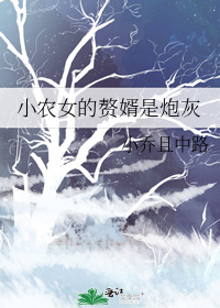 小农女的赘婿是炮灰