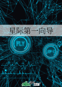 星际第一向导讲了什么