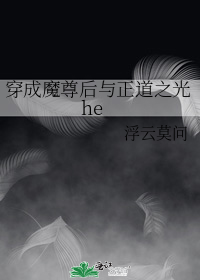 穿成魔尊后与正道之光he