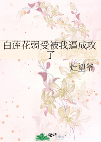 白莲花弱受变攻