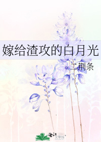 嫁给渣攻的白月光讲的什么