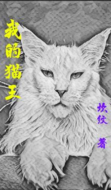 我的猫王