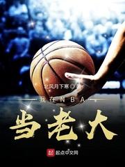 我在nba当老板小说