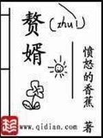 苏檀儿宁毅电视剧名字