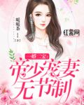 一婚二宝:帝少宠妻无节制全文阅读