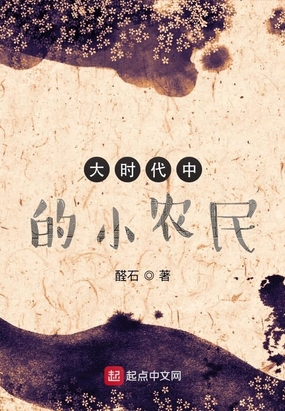 《大时代中的小农民》