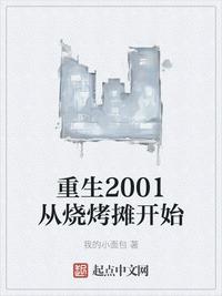 小说重生到2001年